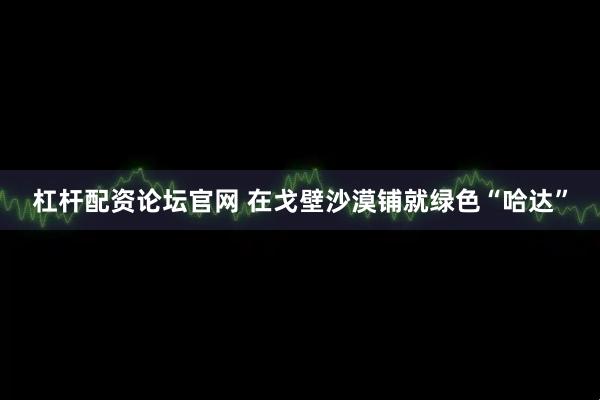 杠杆配资论坛官网 在戈壁沙漠铺就绿色“哈达”