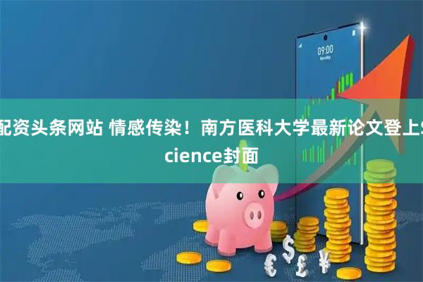 配资头条网站 情感传染！南方医科大学最新论文登上Science封面