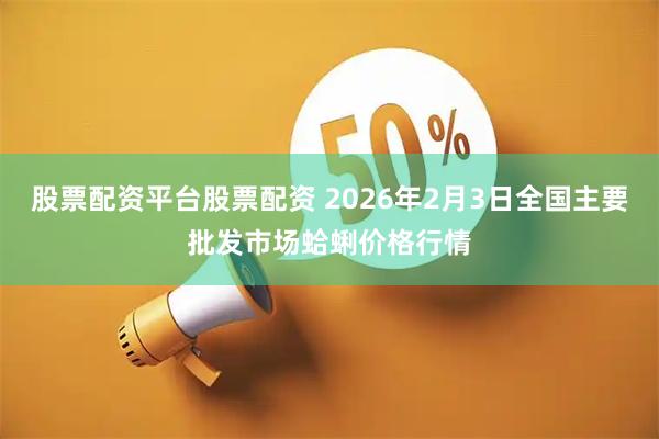 股票配资平台股票配资 2026年2月3日全国主要批发市场蛤蜊价格行情